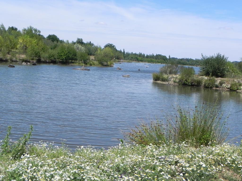 Terres De France - Natura Resort Pescalis Moncoutant Bagian luar foto
